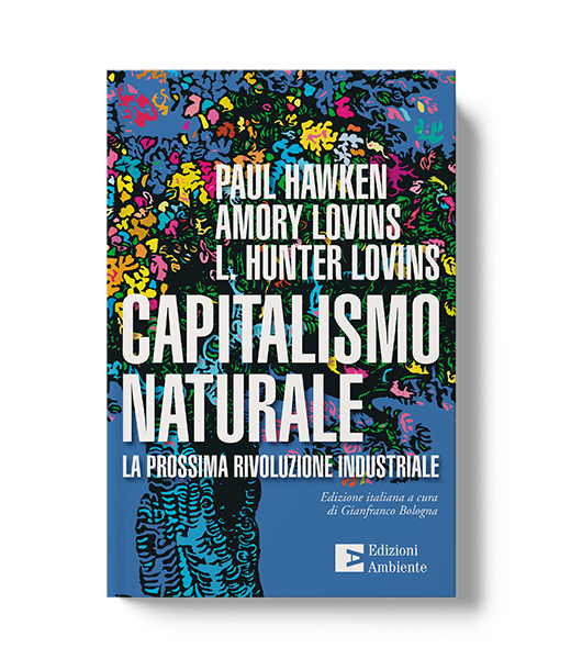 Capitalismo naturale