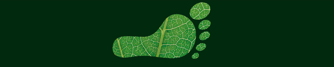 Footprint e indicatori